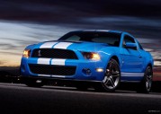 Shelby Cobra GT500 Show Car